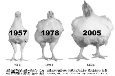 亿万先生MR(中国)首页官网登录