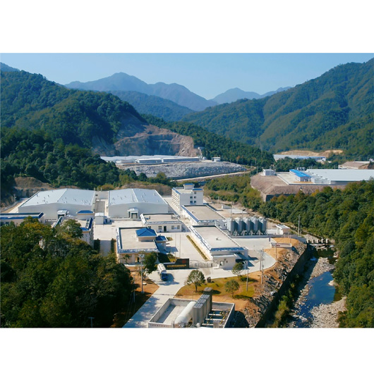 种业攻坚_自主育种_亿万先生集团