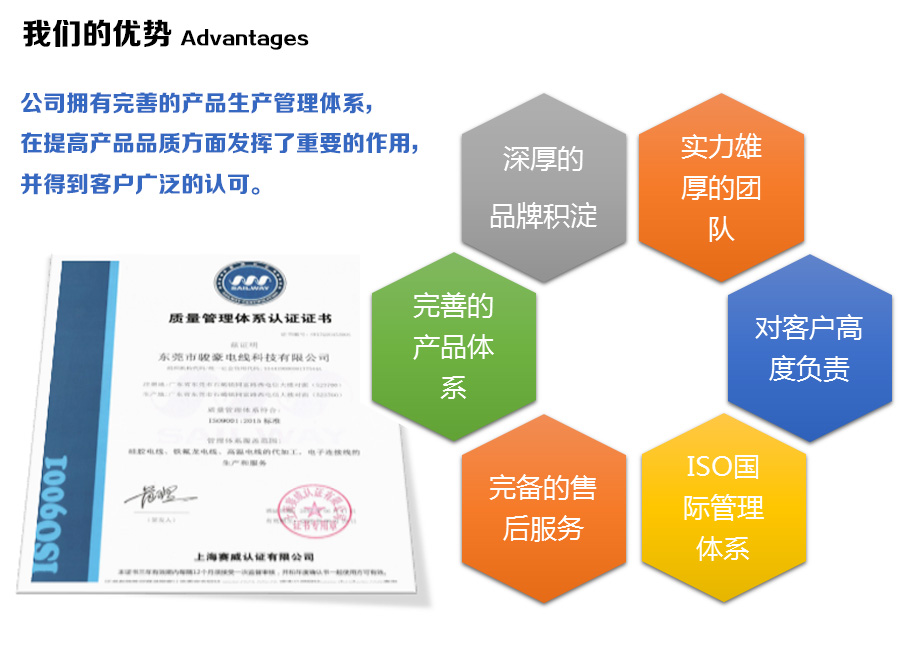 1-1Z110100943E4 97国际电线的优势